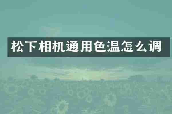 松下相机通用色温怎么调