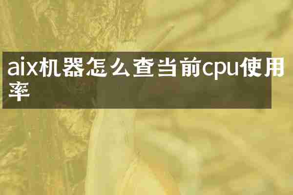 aix机器怎么查当前cpu使用率