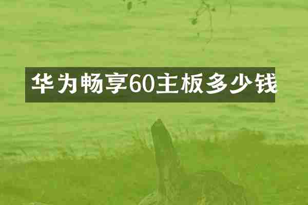 华为畅享60主板多少钱
