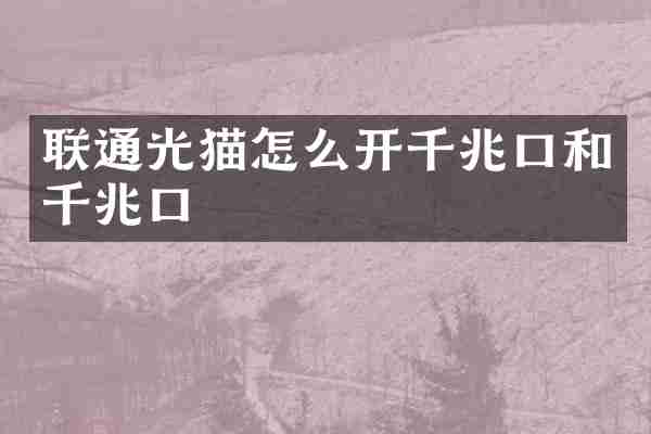 联通光猫怎么开千兆口和千兆口