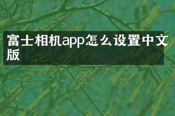 富士相机app怎么设置中文版