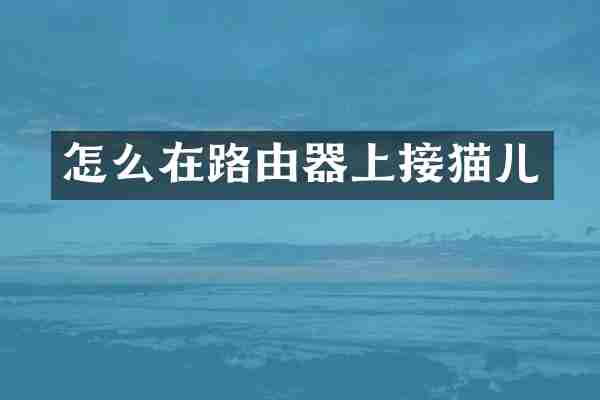 怎么在路由器上接猫儿
