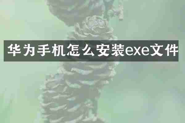 华为手机怎么安装exe文件