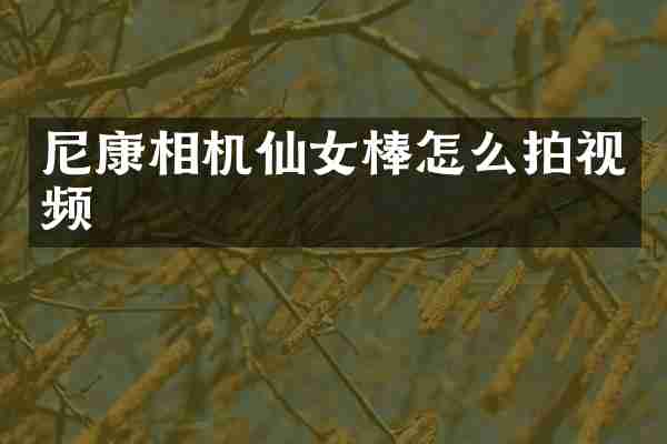 尼康相机仙女棒怎么拍视频