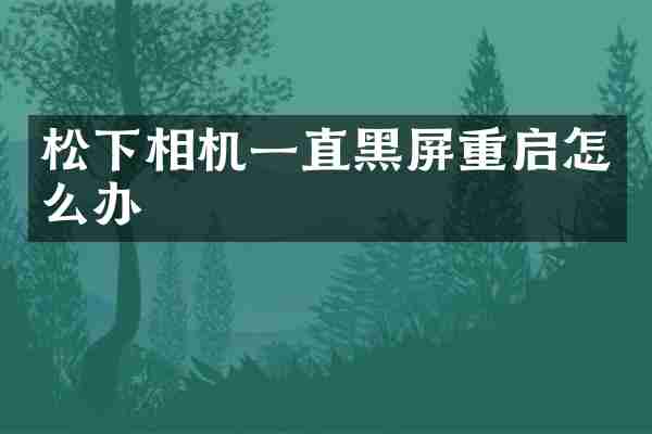 松下相机一直黑屏重启怎么办