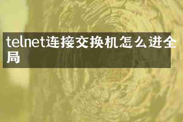 telnet连接交换机怎么进全局