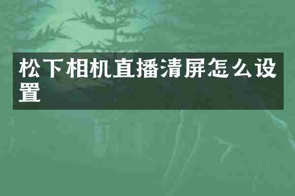 松下相机直播清屏怎么设置