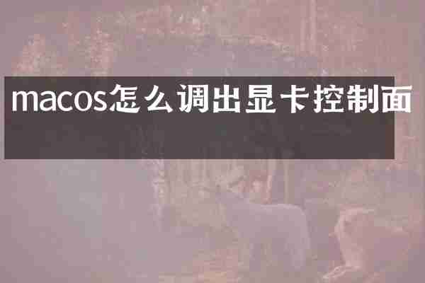 macos怎么调出显卡控制面板