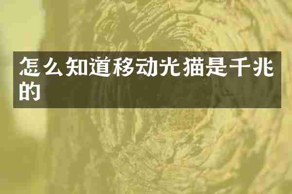 怎么知道移动光猫是千兆的
