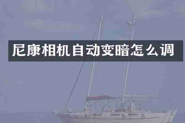 尼康相机自动变暗怎么调