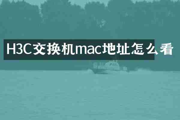 H3C交换机mac地址怎么看