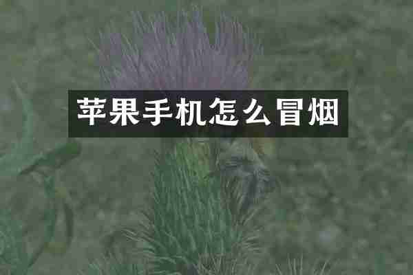 苹果手机怎么冒烟