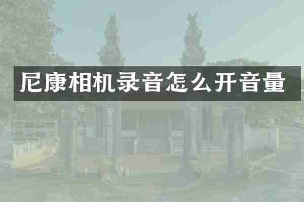 尼康相机录音怎么开音量