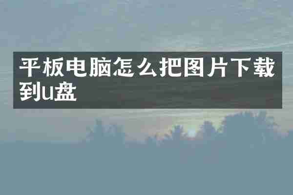 平板电脑怎么把图片下载到u盘