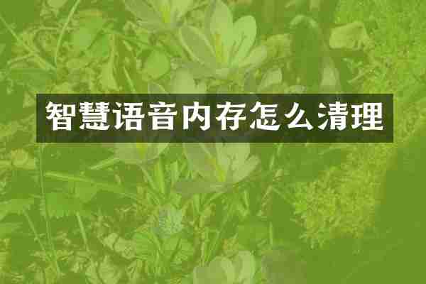 智慧语音内存怎么清理