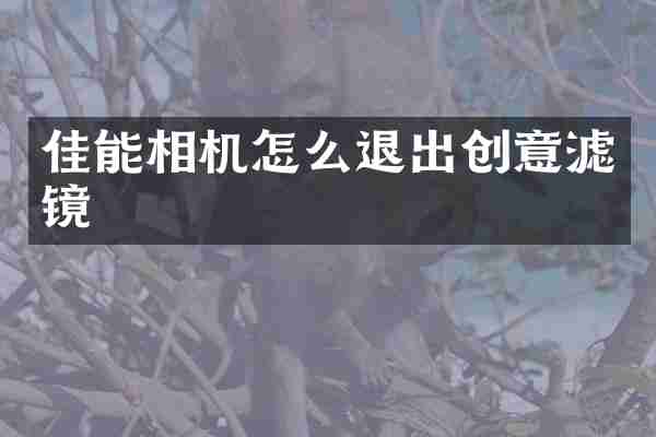 佳能相机怎么退出创意滤镜