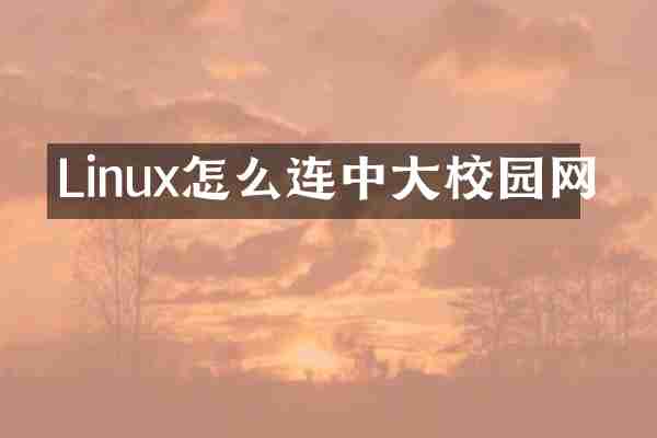 Linux怎么连中大校园网