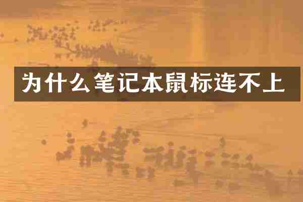 为什么笔记本鼠标连不上