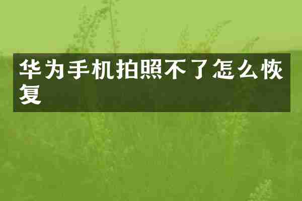华为手机拍照不了怎么恢复