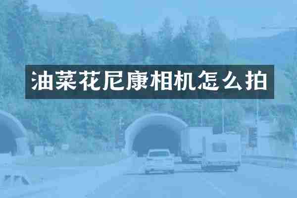 油菜花尼康相机怎么拍
