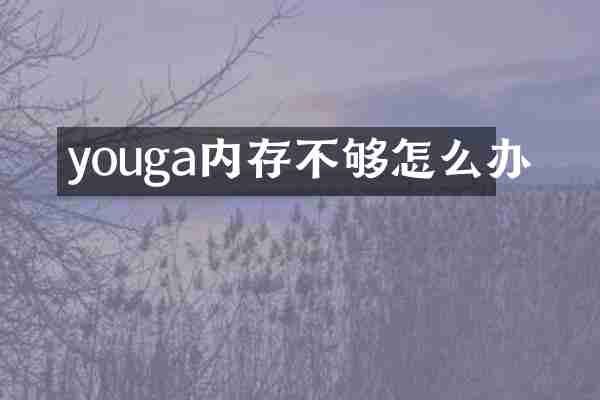 youga内存不够怎么办
