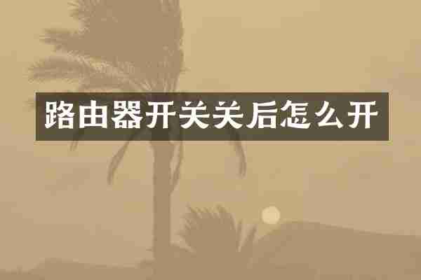路由器开关关后怎么开