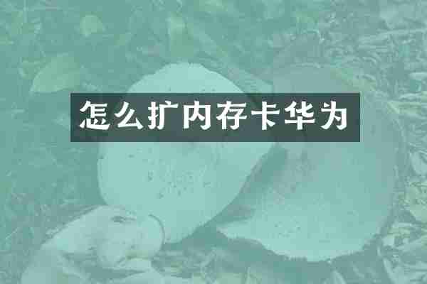 怎么扩内存卡华为