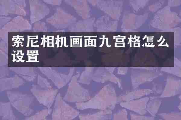 索尼相机画面九宫格怎么设置