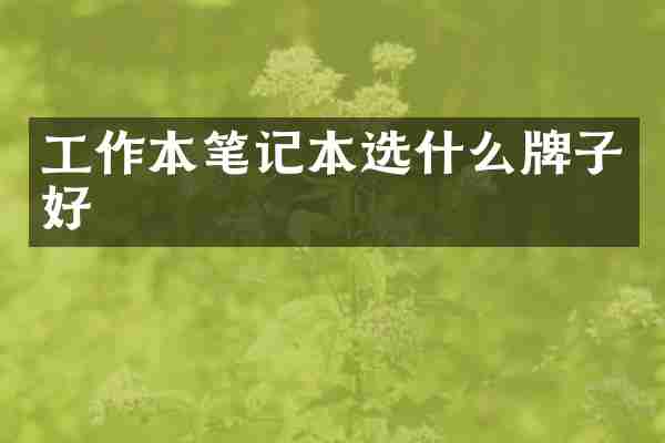 工作本笔记本选什么牌子好