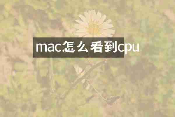 mac怎么看到cpu
