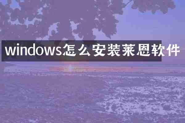 windows怎么安装莱恩软件