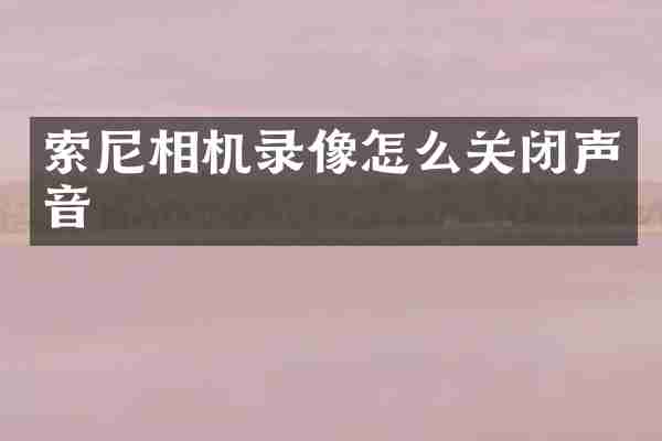 索尼相机录像怎么关闭声音