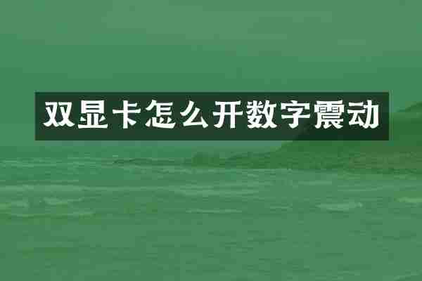 双显卡怎么开数字震动