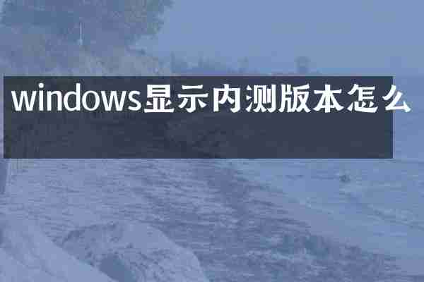 windows显示内测版本怎么办