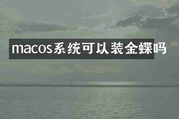 macos系统可以装金蝶吗
