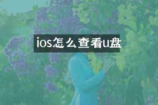 ios怎么查看u盘
