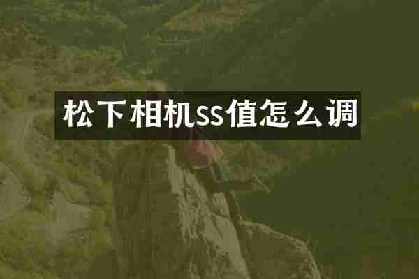 松下相机ss值怎么调
