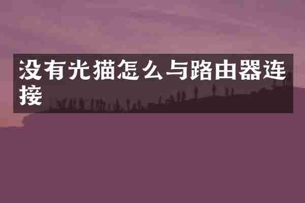 没有光猫怎么与路由器连接