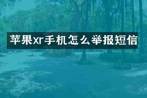 苹果xr手机怎么举报短信