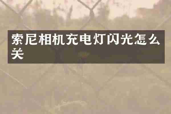 相机充电灯闪光怎么关