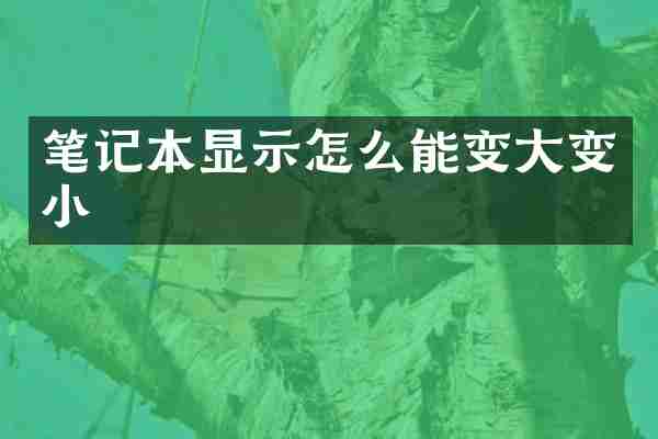 笔记本显示怎么能变大变小