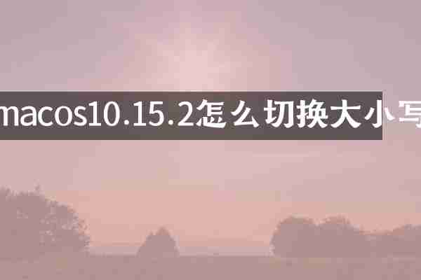 macos10.15.2怎么切换大小写