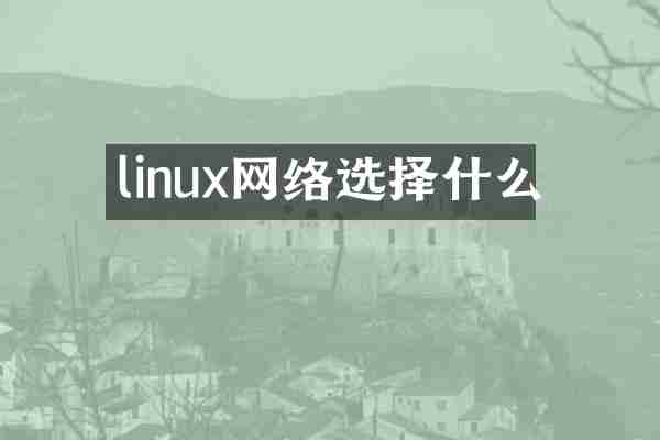 linux网络选择什么