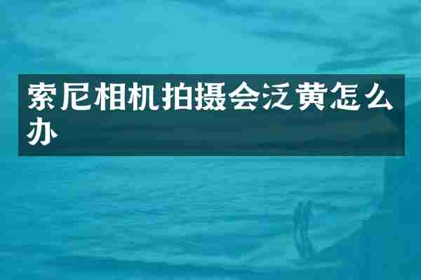 索尼相机拍摄会泛黄怎么办