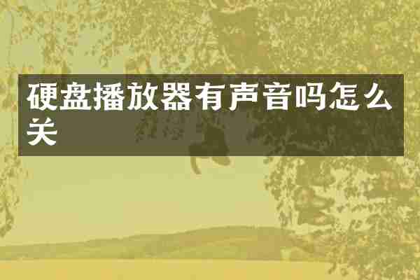 硬盘播放器有声音吗怎么关