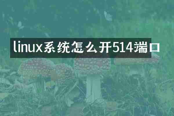 linux系统怎么开514端口