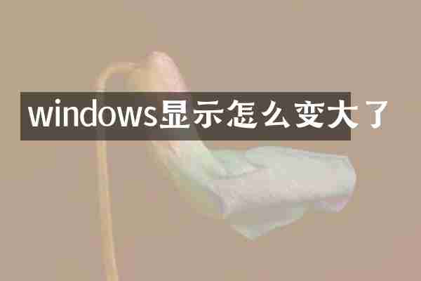 windows显示怎么变大了