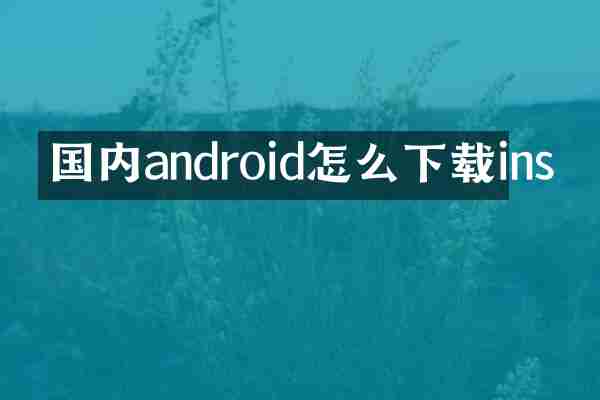 国内android怎么下载ins