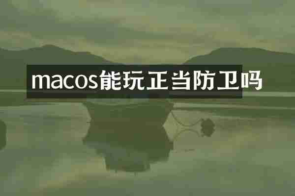 macos能玩正当防卫吗