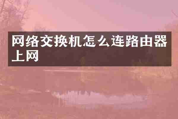 网络交换机怎么连路由器上网
